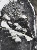 Photo of headstones/thumb_Norman McLennan d1916 hdstn Waipu